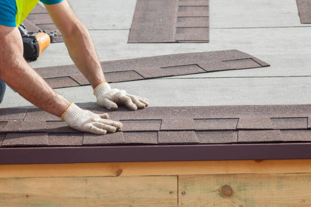 Best Roof Moss and Algae Removal  in Rehoboth Beach, DE